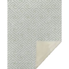 Premium Machine Washable ASB731 Mint 50" x 70" Sherpa Throw Blanket