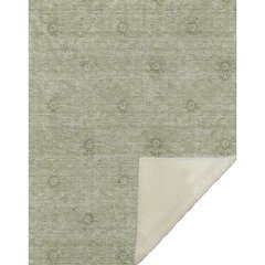 Premium Machine Washable ASB789 Sage 50" x 70" Sherpa Throw Blanket