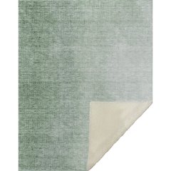 Premium Machine Washable ASB822 Green 50" x 70" Sherpa Throw Blanket