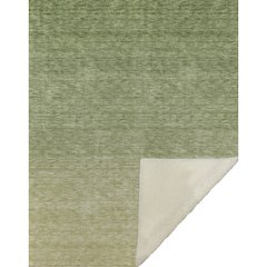 Premium Machine Washable ASB833 Green 50" x 70" Sherpa Throw Blanket
