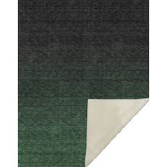 Premium Machine Washable ASB844 Emerald 50" x 70" Sherpa Throw Blanket