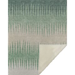 Premium Machine Washable ASB886 Sage 50" x 70" Sherpa Throw Blanket