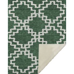 Premium Machine Washable ASB902 Emerald 50" x 70" Sherpa Throw Blanket