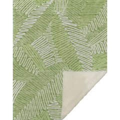 Premium Machine Washable ASB904 Lime 50" x 70" Sherpa Throw Blanket