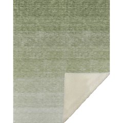 Premium Machine Washable ASB928 Green 50" x 70" Sherpa Throw Blanket
