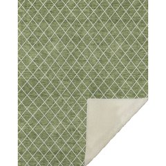 Premium Machine Washable ASB932 Green 50" x 70" Sherpa Throw Blanket