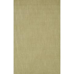 Monaco Sisal MC100 Aloe 3'6" x 5'6" Rug