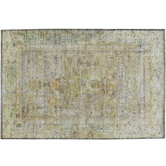 Indoor/Outdoor Karaj Aloe 1'8" x 2'6" Rug