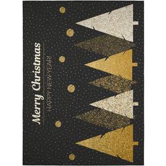 Indoor/Outdoor Cozy Winter ACW41 Black Washable 30" x 46" Rug