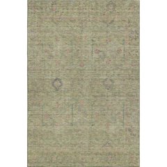 Luxury Washable Indoor/Outdoor Ravenna Aloe 2'6" x 3'10" Rug