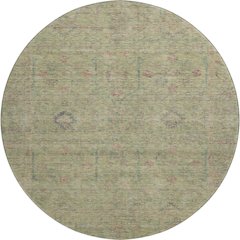 Luxury Washable Indoor/Outdoor Ravenna Aloe 8' x 8' Round Rug