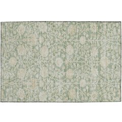 Luxury Washable Indoor/Outdoor Solace Aloe 1'8" x 2'6" Rug