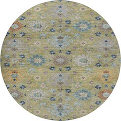 Indoor/Outdoor Silk Road Aloe 8' x 8' Round Rug