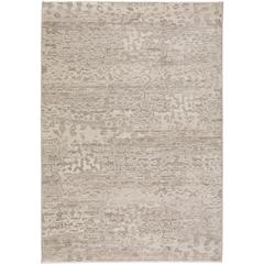 Denizi DZ6 Silver 3'3" x 5'3" Rug