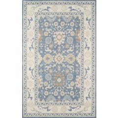 Traditional Runner Area Rug, Light Blue, 2'3" X 7'6" Runner