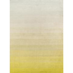 Contemporary Runner Area Rug, Citrus, 2'3" X 8' Runner