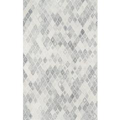 Contemporary Rectangle Area Rug, Grey, 3' X 5'
