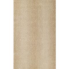 Contemporary Rectangle Area Rug, Beige, 3'6" X 5'6"