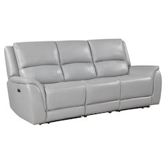 Alexandria Leather Power Reclining Sofa,