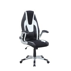 Modern Ergonomic 2-Tone Adjustable Computer Chair
