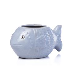 Placid Fish