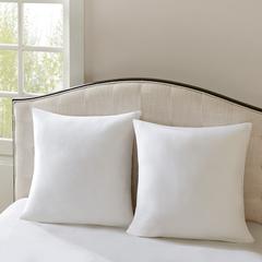 Euro Pillow