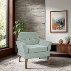 Newtin Mid-Century Modern Lounge Chair