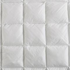 Overfilled Pillow Protector Single Piece