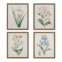 Herbal Botany 4-piece Botanical Illustration Framed Canvas Wall Art Set