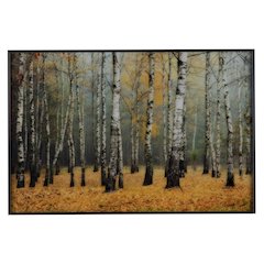 Rivers Wall Decor