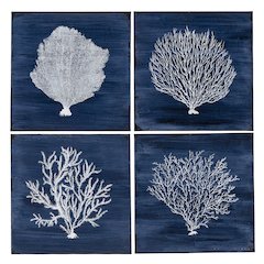 Four Corals Wall Decor