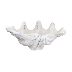 Henley Shell Sculpture