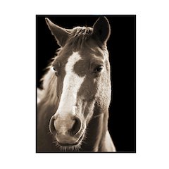Fayette 2 Wall Decor