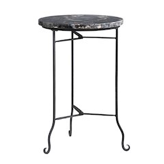 Black Petrified Wood And Metal Round Accent_End Table