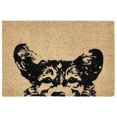 Sparky 24x36 Coir Doormat by Kosas Home
