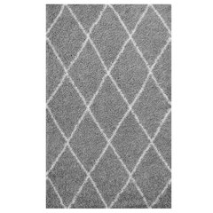 Toryn Diamond Lattice 5x8 Shag Area Rug