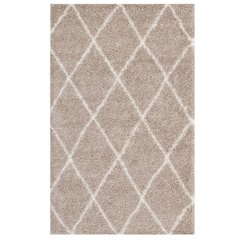 Toryn Diamond Lattice 5x8 Shag Area Rug