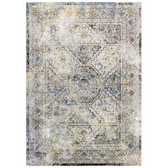 Success Jacinda Distressed Vintage Floral Vintage Medallion 4x6 Area Rug