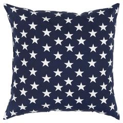 22" x 22" Indoor/ Outdoor Pillow
