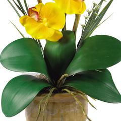 Phalaenopsis Silk Orchid Flower Arrangement - Yellow
