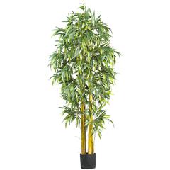 6ft. Big Bamboo Silk Tree