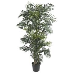 6.5ft. Golden Cane Palm Silk Tree