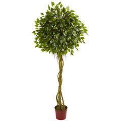 6ft. Ficus Artificial Topiary Tree, UV Resistant (Indoor/Outdoor)