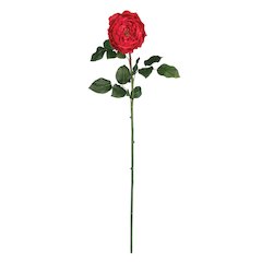 31in. Large Rose Stem (Set of 12)