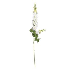 38.5in. Delphinium Stem (Set of 12)