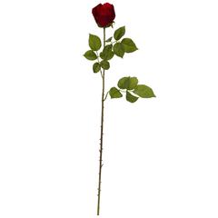 33in. Elegant Red Rose Bud Artificial Flower (Set of 6)