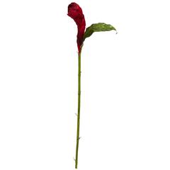 36in. Ginger Artificial Flower (Set of 3)