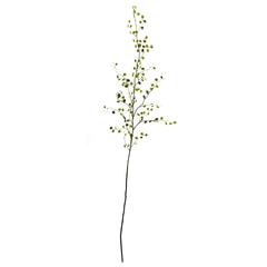 48in. Night Willow Artificial Flower Stems, Set of 6