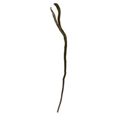 28in. Artificial Branch (Set of 12)
