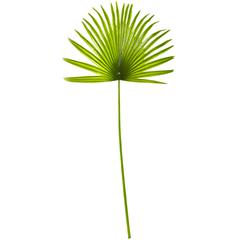 33in. Fan Palm Artificial Spray Plant (Set of 6)